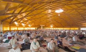 Group TM Meditation For Peace